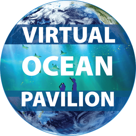 Virtual Ocean Pavilion Logo
